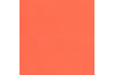 Tarkett Omnisports Excel Orange