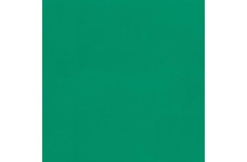 Tarkett Omnisport Speed Field Green